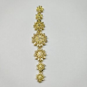 gold polish jewellery
